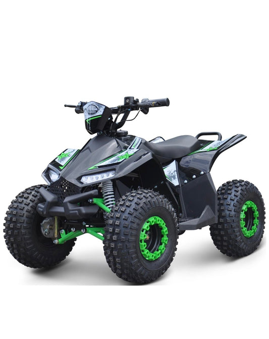 Renegade 48v 1200w QUAD (SHAFT DRIVE)