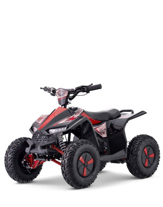 Renegade 48v 1100w QUAD (SHAFT DRIVE)