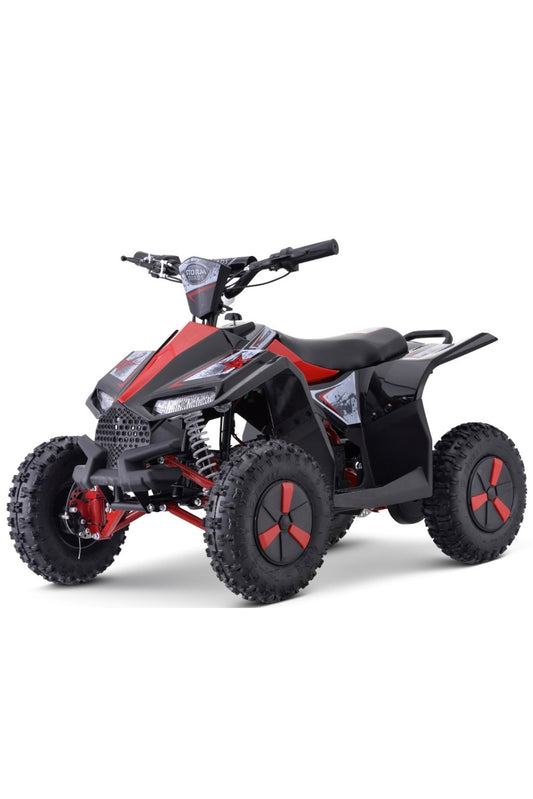 Renegade 36v QUAD (CHAIN DRIVE)