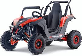 X MOTO UTV 48v