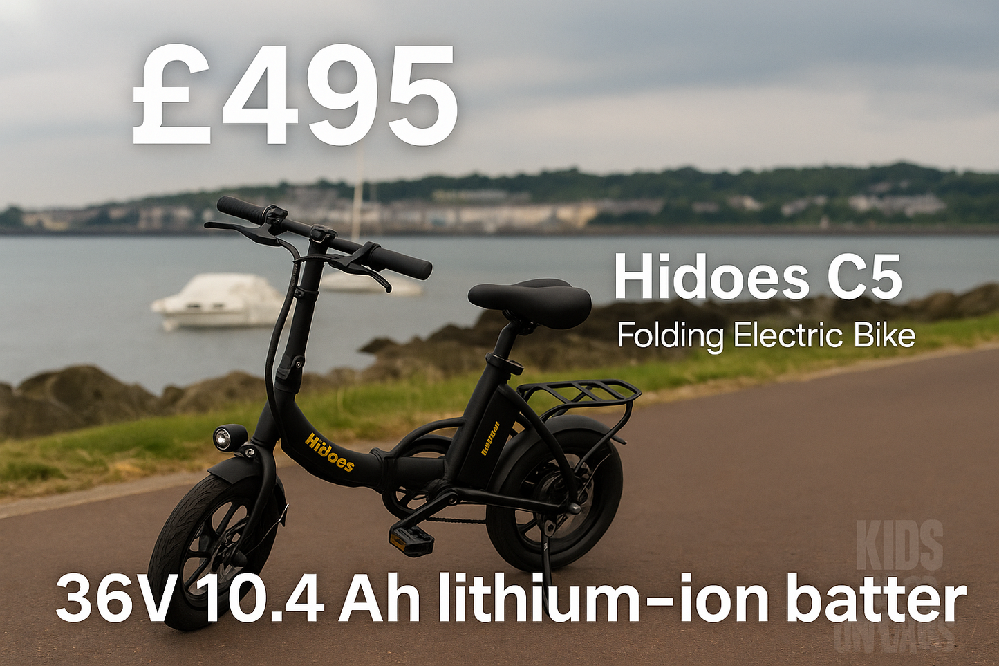 Hidoes C5 Foldable E-Bike