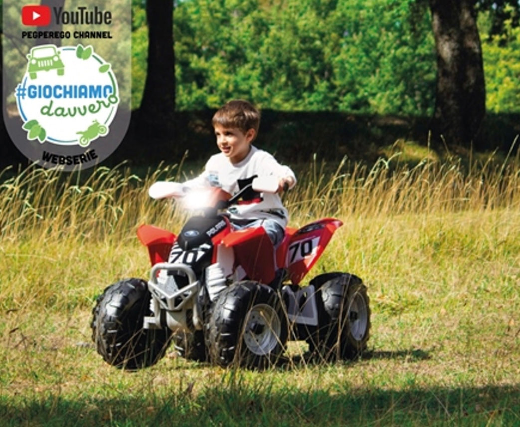 Polaris outlaw 12v