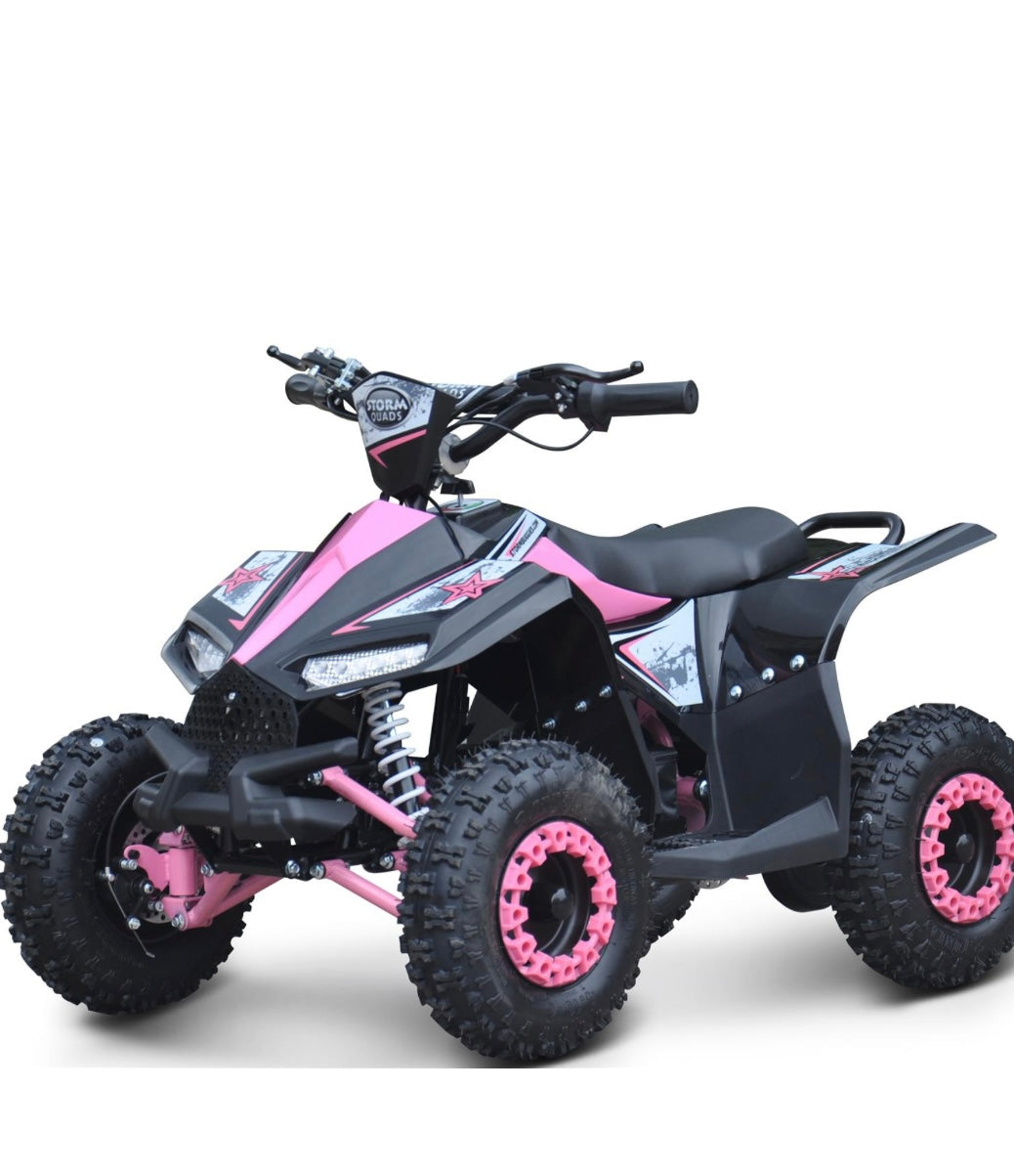 Renegade 36v Atv